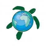 Custom Personalized Earth Turtle Temporary Tattoo