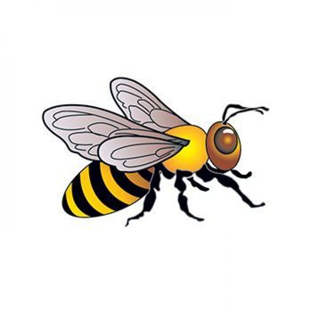 Bee Temporary Tattoo Custom Personalized Bee Temporary Tattoo Custom Personalized