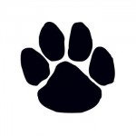 Black Paw Print Temporary Tattoo Custom Personalized