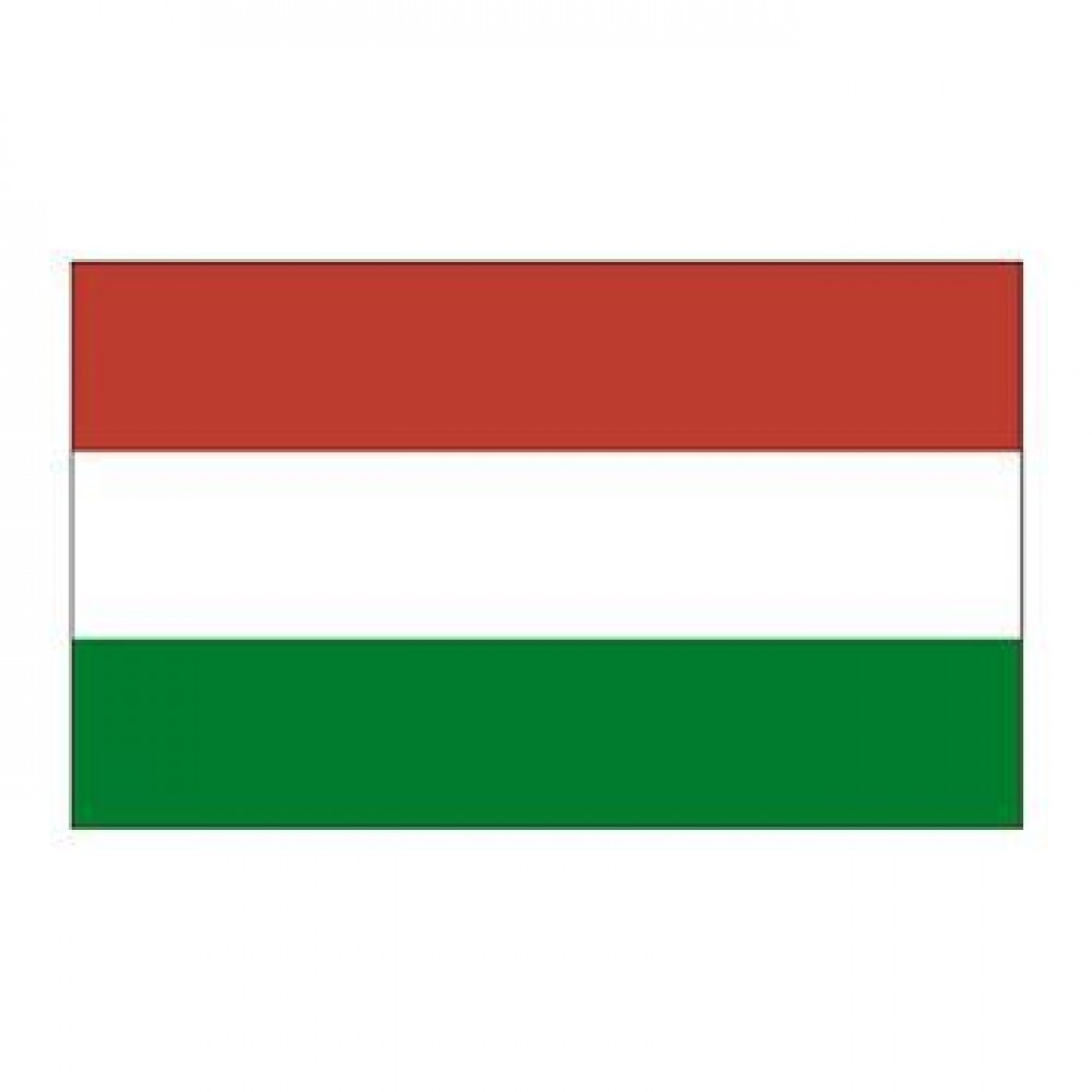 Hungary Flag Temporary Tattoo Logo Printed Hungary Flag Temporary Tattoo Logo Printed