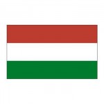 Hungary Flag Temporary Tattoo Logo Printed