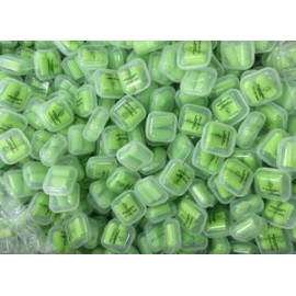 Logo Branded Ear Plugs In Case