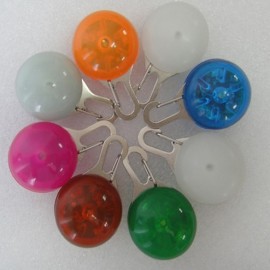 Personalized Pet Safety Light