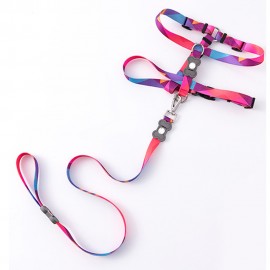 Pet Leash Set with logo