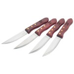 4 Piece Deluxe Steak Knife Set with Logo