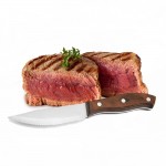Personalized Steak Knife Sets