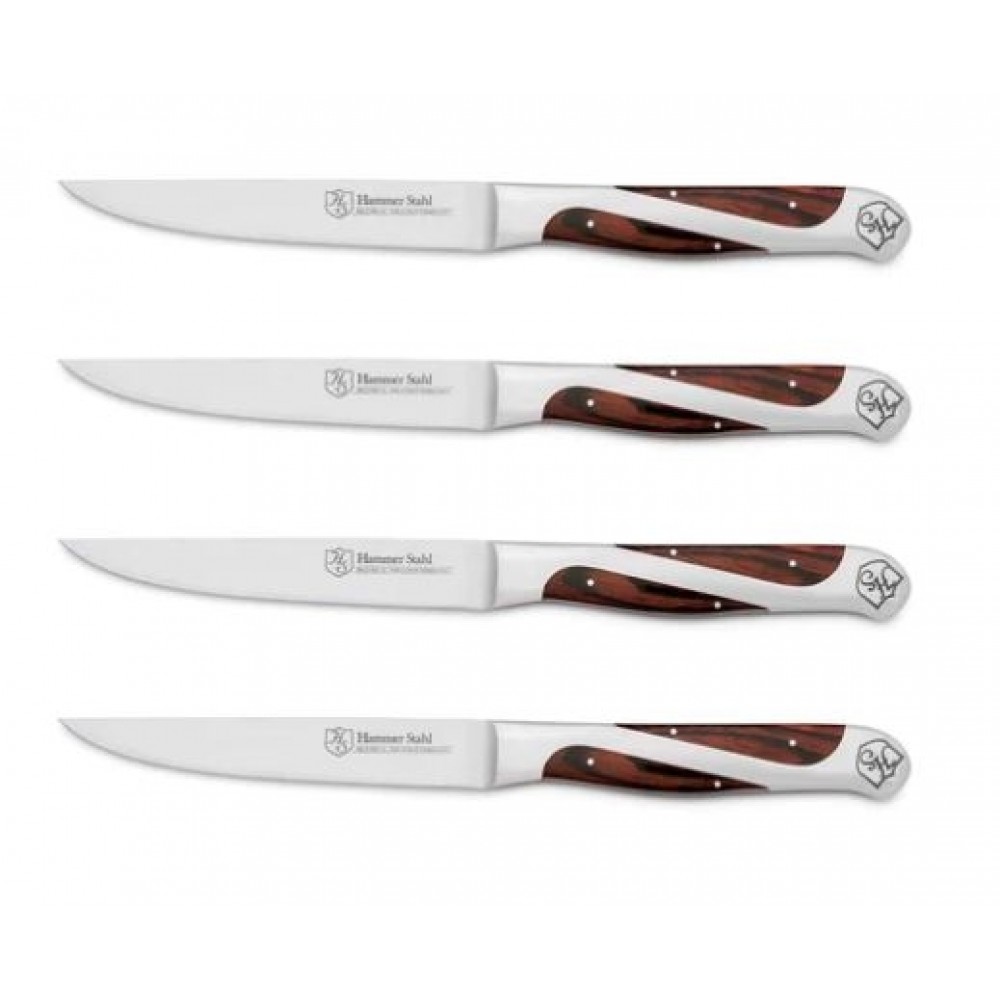 4PC Steak Knife Set with Logo