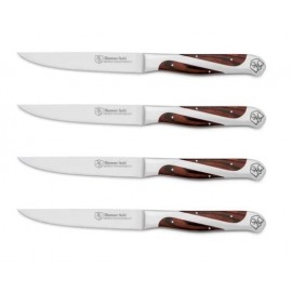 4PC Steak Knife Set with Logo