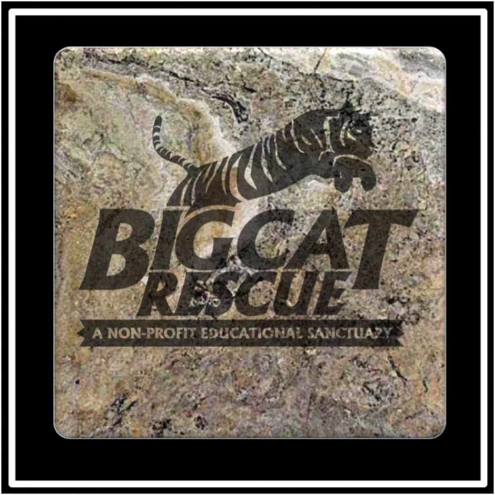 Faux Marble Printed Square Coaster Logo Branded Faux Marble Printed Square Coaster Logo Branded