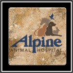 Logo Branded Faux Marble Printed Square Coaster