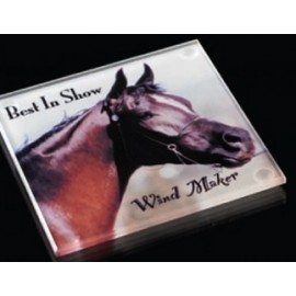 NanobriteÂ© Square Glass Coaster with Logo