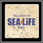 Custom Printed Faux Travertine Printed Square Coaster
