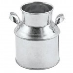 Custom Imprinted Mini Metal Jug