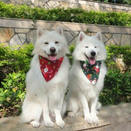 Logo Branded Christmas pet saliva towel