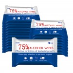 Logo Branded 10 Sheets Package Alcohol Wipes