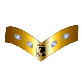 Digital Heroine Costume Headband Custom Imprinted