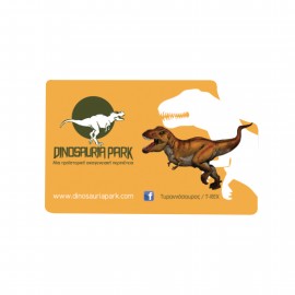 Custom Printed CALENDAR PLASTIC CARD (3.37''x2.12'')  Custom Printed CALENDAR PLASTIC CARD (3.37