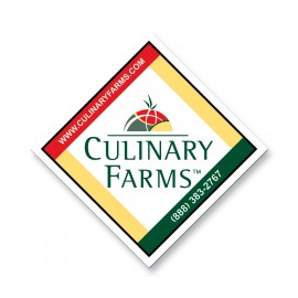 Promotional 3.25" Square Magnet - Full Color