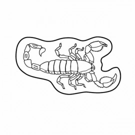 Promotional Magnet - Scorpion - Full Color  Promotional Magnet - Scorpion - Full Color