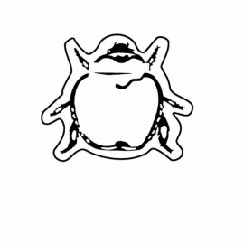 Magnet - Bug - Full Color with Logo  Magnet - Bug - Full Color with Logo