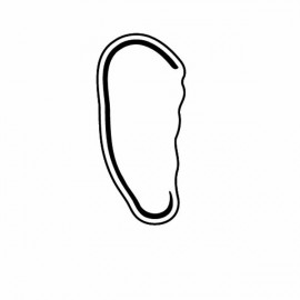 Customized Ear Magnet - Full Color  Customized Ear Magnet - Full Color