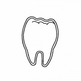 Tooth Magnet - Full Color with Logo  Tooth Magnet - Full Color with Logo