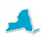 New York State Magnet Logo Branded