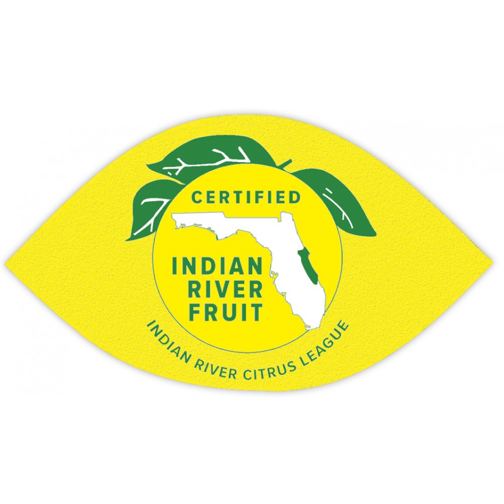Promotional Full Color Magnet (3 x 1.75) Large Eye Promotional Full Color Magnet (3 x 1.75) Large Eye