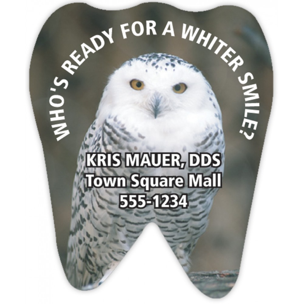 Full Color Magnet (2.5 x 2) Tooth Shape Logo Branded Full Color Magnet (2.5 x 2) Tooth Shape Logo Branded