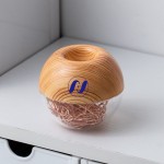 Paper Clip Magnetic Dispenser W/ 100 Paper Clips Custom Imprinted