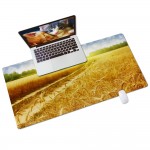 Smooth Surface Mouse Pad ,31.5''Lx15.7''W Logo Branded