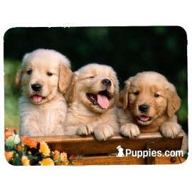 Logo Branded Rectangle Mouse Pad