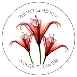 Hard Surface Mouse Pad w/ Rubber Base - Round (7-7/8"x1/16") with Logo