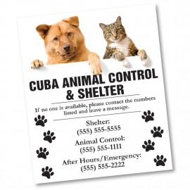 Logo Branded Large Full Color Custom Magnet - 0.034" Thick (16.01 to 28 Square Inch)