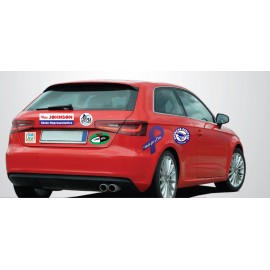 Customized Small Ribbon Shaped Vehicle Magnet