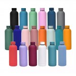 Promotional 17oz Leak-Proof Vacuum Insulated Stainless Steel Bottle