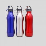 25 Oz. Stainless Steel Sports Bottles w/Carabiner with Logo