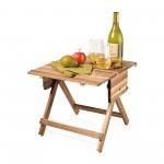 Custom La Cuisine Picnic Table & Carrier - Wood