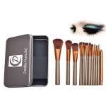 12pcs Eye shadow Makeup Brushes Set with Iron Box Logo Branded