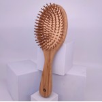 Wooden Bamboo Hair Brush Logo Branded