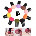 Logo Branded Makeup Brush Cosmetic Blush Brush/Makeup Sponge/Round Head Puff Beauty Makeup Tool