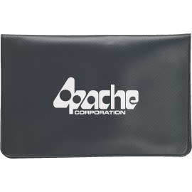 Logo Branded Transparent Kleen Sweep Case