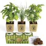GrowPot Eco-Planter Herb 3-Pack