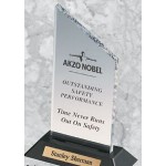 Acrylic Professional Gallery Slanted Top Awards