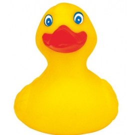 Old Fashioned Smart DuckÂ© with Logo