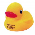 Customized Regular Rubber Duck Toy