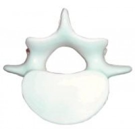 Vertebrae Stress Reliever with Logo  Vertebrae Stress Reliever with Logo