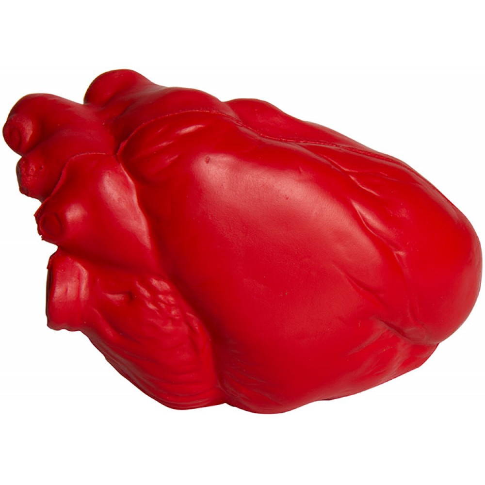 Anatomical Heart Stress Reliever with Logo