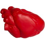 Anatomical Heart Stress Reliever with Logo