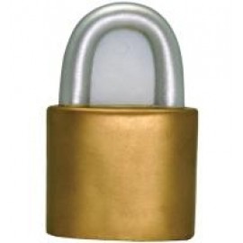 Logo Branded Lock Stress Reliever